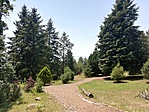 IMG_20200627_125337