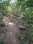 IMG_20200919_173440
