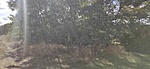 IMG_20200924_135425
