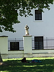 DSC01081