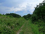 IMG_20200816_151428