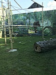 IMG_7922