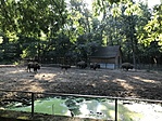 IMG_7927
