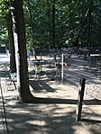 IMG_7946