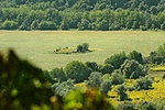 IMG_5725_1
