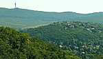 IMG_5728_2