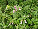 IMG_20200916_093152