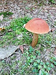 IMG_20200906_122044