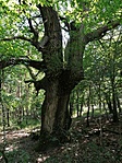 IMG_20200906_123219