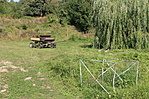 IMG_8309