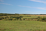 IMG_8312
