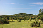 IMG_8313