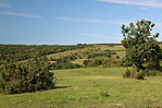 IMG_8315