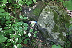 a láda
