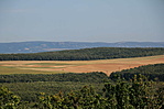 IMG_8330