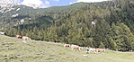 20200912_134949