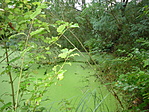 P1220956