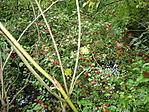 P1220975