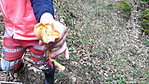 Bogdan (6)