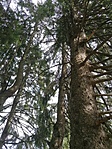 IMG_20200917_103434