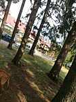 IMG_20200917_103435