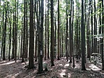 IMG_20200917_132515