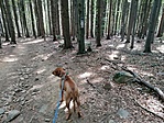 IMG_20200917_132512