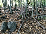 IMG_20200917_131403