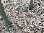 IMG_20200917_130830