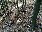 IMG_20200917_130827