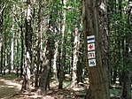 IMG_20200917_130137
