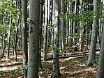 IMG_20200917_125720