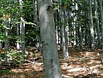 IMG_20200917_125717