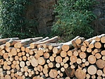 IMG_20200917_125240