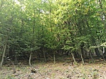 IMG_20200917_125039