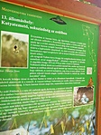 IMG_20200906_111640