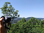 IMG_20200812_113638