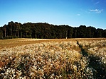 IMG_20200912_182753