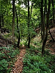IMG_20200926_153724