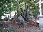 IMG_4157_resize