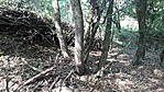 20200920_102508_resize