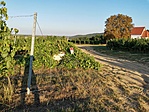 IMG_20200906_181211