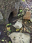 IMG_20200927_123614