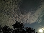 IMG_20201002_205532