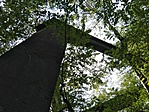 IMG_20201003_145307
