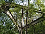 IMG_20201003_145130