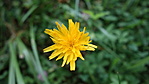 DSC01061