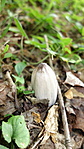 DSC01071