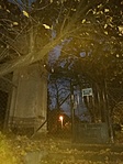 IMG_20201031_170421
