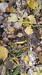 20201030_134726